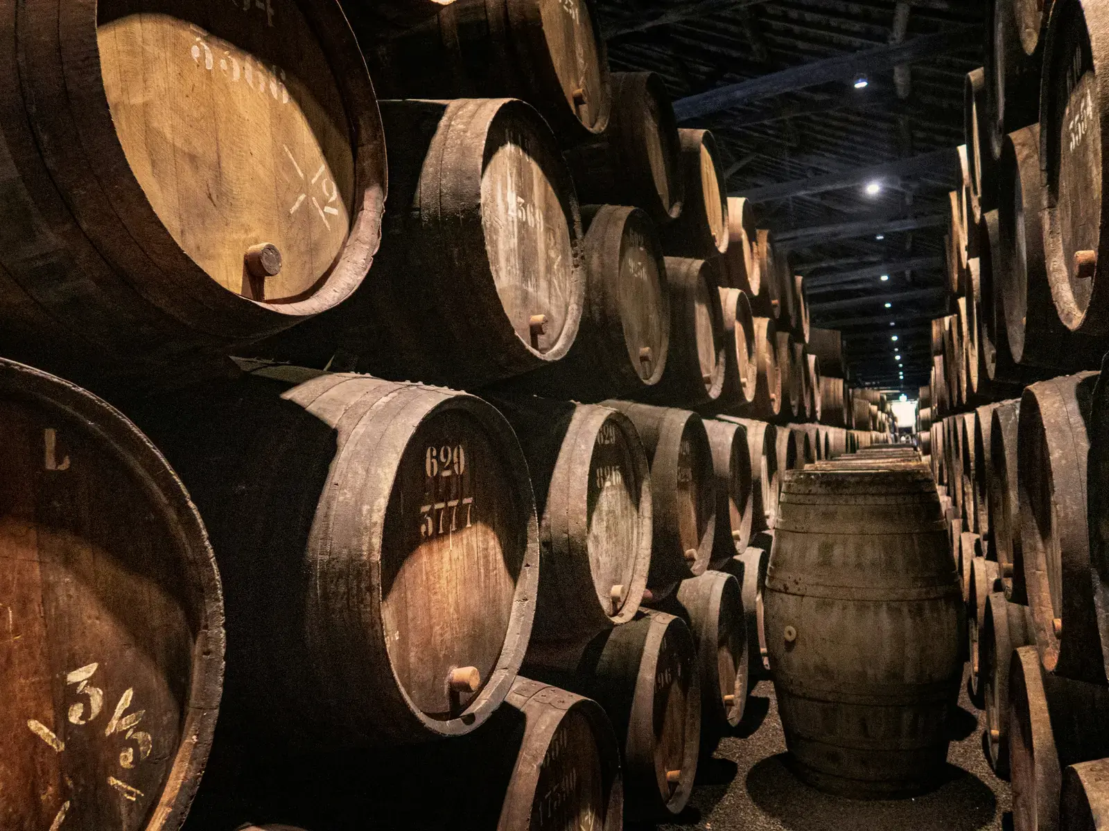 Port wine barrels stacked in a Gaia cellar